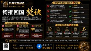 中国｜境外诈骗嫌疑人回国免罪全攻略：审讯技巧与风险提示
