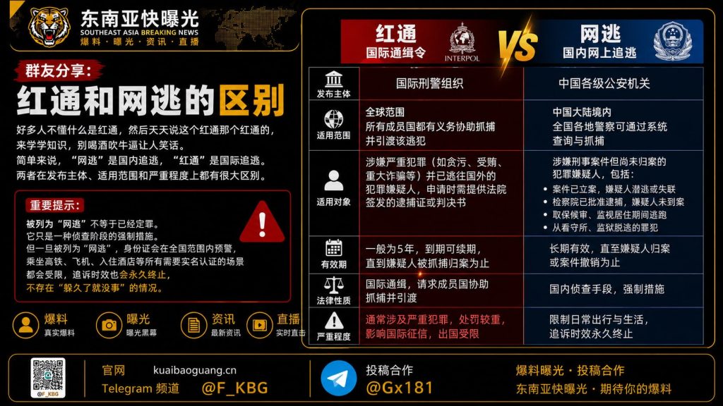 中国｜红通与网逃区别解析：国际与国内追逃机制对比及影响