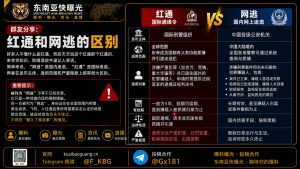 中国｜红通与网逃区别解析：国际与国内追逃机制对比及影响