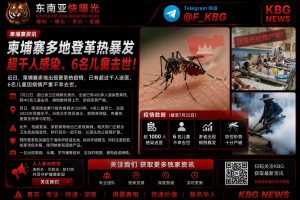 柬埔寨｜多地登革热暴发，超千人感染、6名儿童不幸去世