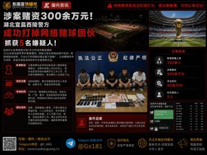 中国｜湖北宜昌警方成功打掉一网络赌球犯罪团伙