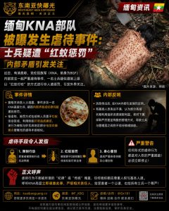缅甸｜KNA部队内部虐待事件，士兵遭红蚁惩罚引发关注