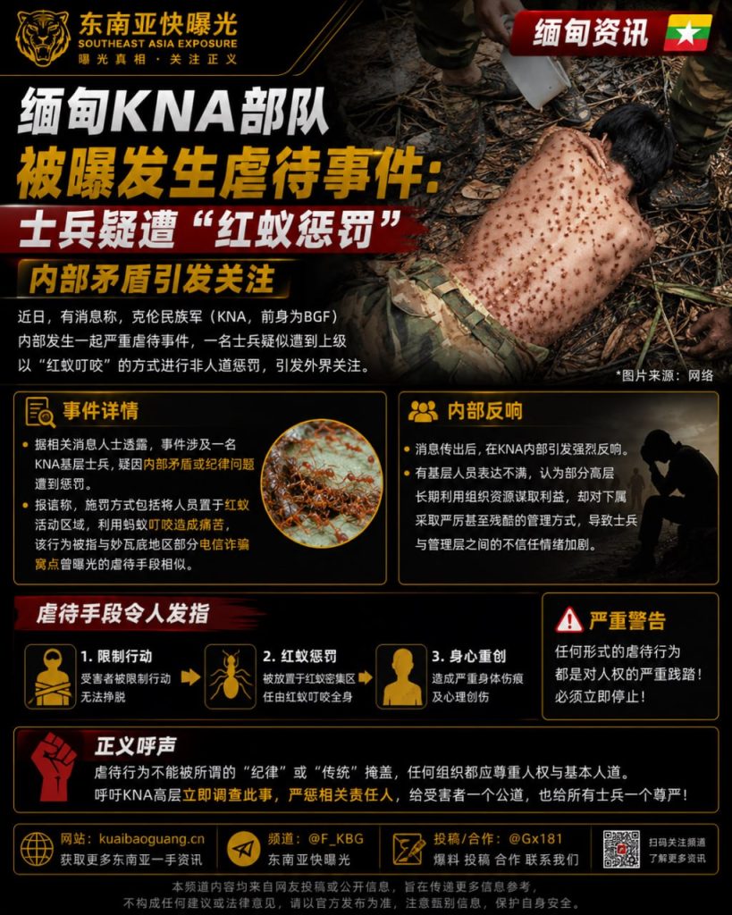 缅甸｜KNA部队内部虐待事件，士兵遭红蚁惩罚引发关注