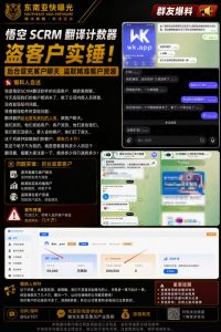 中国｜悟空SCRM翻译计数器盗取客户导致数十万损失