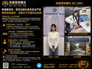 柬埔寨｜司法部长严惩肇事逃逸，案涉女子已被扣押