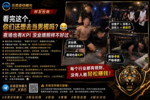 东南亚｜夜场男模转行遭惩罚，行业压力显现，职场竞争激烈
