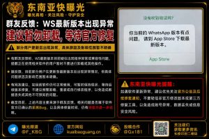 全球｜WS最新版本出现异常建议用户暂勿卸载等待官方修复