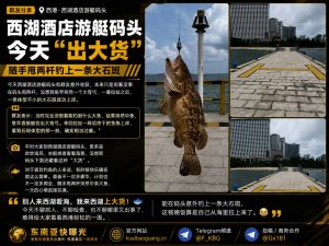 柬埔寨资讯｜西港西湖酒店游艇码头发生趣事，群友甩两杆钓上大石斑