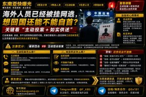 海外资讯｜网逃人员主动回国投案能否认定自首，关键看主动投案与如实供述
