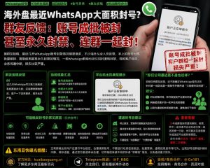 东南亚资讯｜海外运营团队反映遭遇WhatsApp大面积批量封号