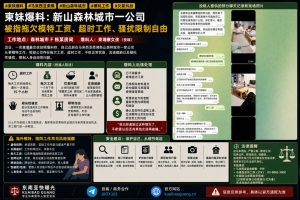 马来西亚柔佛｜新山森林城市公司被指拖欠模特工资及限制自由