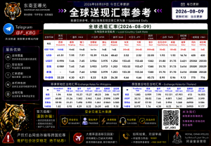 2026年8月9日东南亚汇率参考（人民币/USDT）