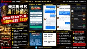 网友反映美高梅改名澳门新葡京｜两千多代理佣金遭拖延且玩家提现被判定异常