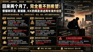 中国｜归国网友揭露东南亚高压工作与回国生活无望