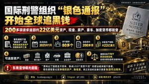 国际资讯｜国际刑警组织银色通报启动全球追黑钱，追踪约22亿美元资产