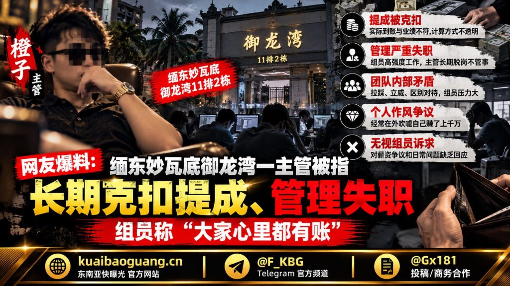 网友爆料