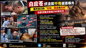 国内资讯